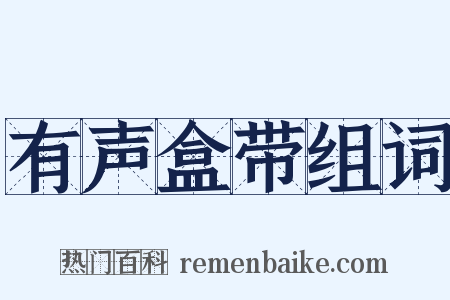 有声盒带组词是什么意思的图片